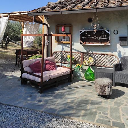 La Casa Tra Gli Ulivi Bed and Breakfast Cortona Exteriör bild
