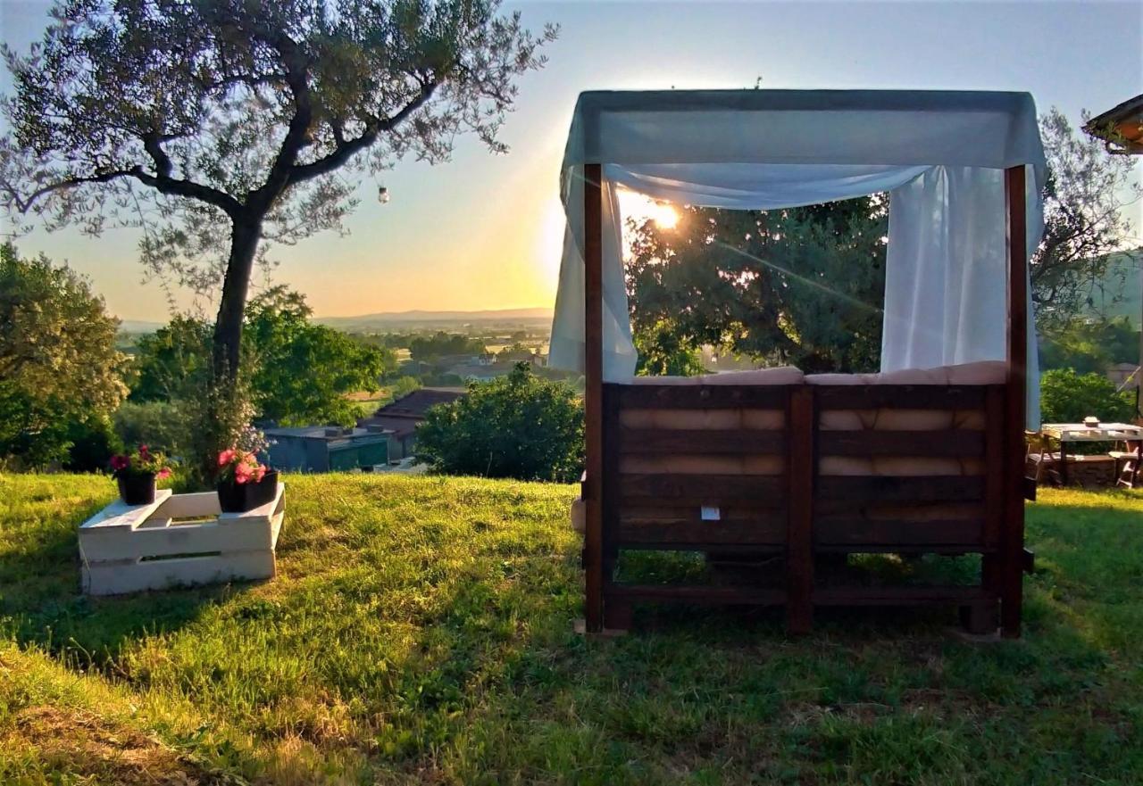 La Casa Tra Gli Ulivi Bed and Breakfast Cortona Exteriör bild
