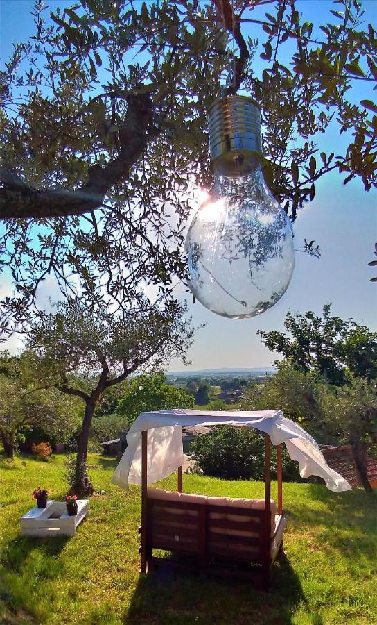 La Casa Tra Gli Ulivi Bed and Breakfast Cortona Exteriör bild