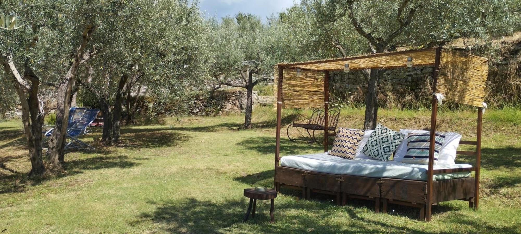 La Casa Tra Gli Ulivi Bed and Breakfast Cortona Exteriör bild